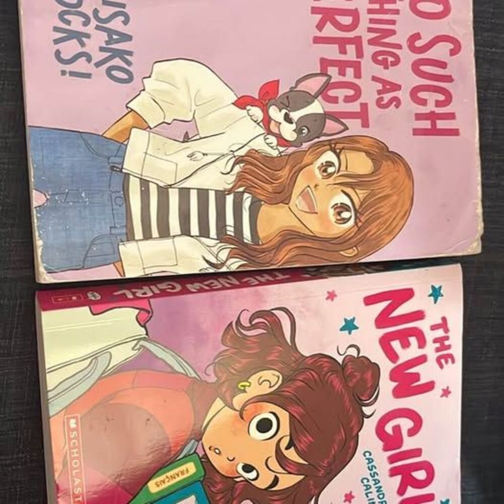 Graphic Novel Bundle: The New Girl and No Such Thing as Perfect